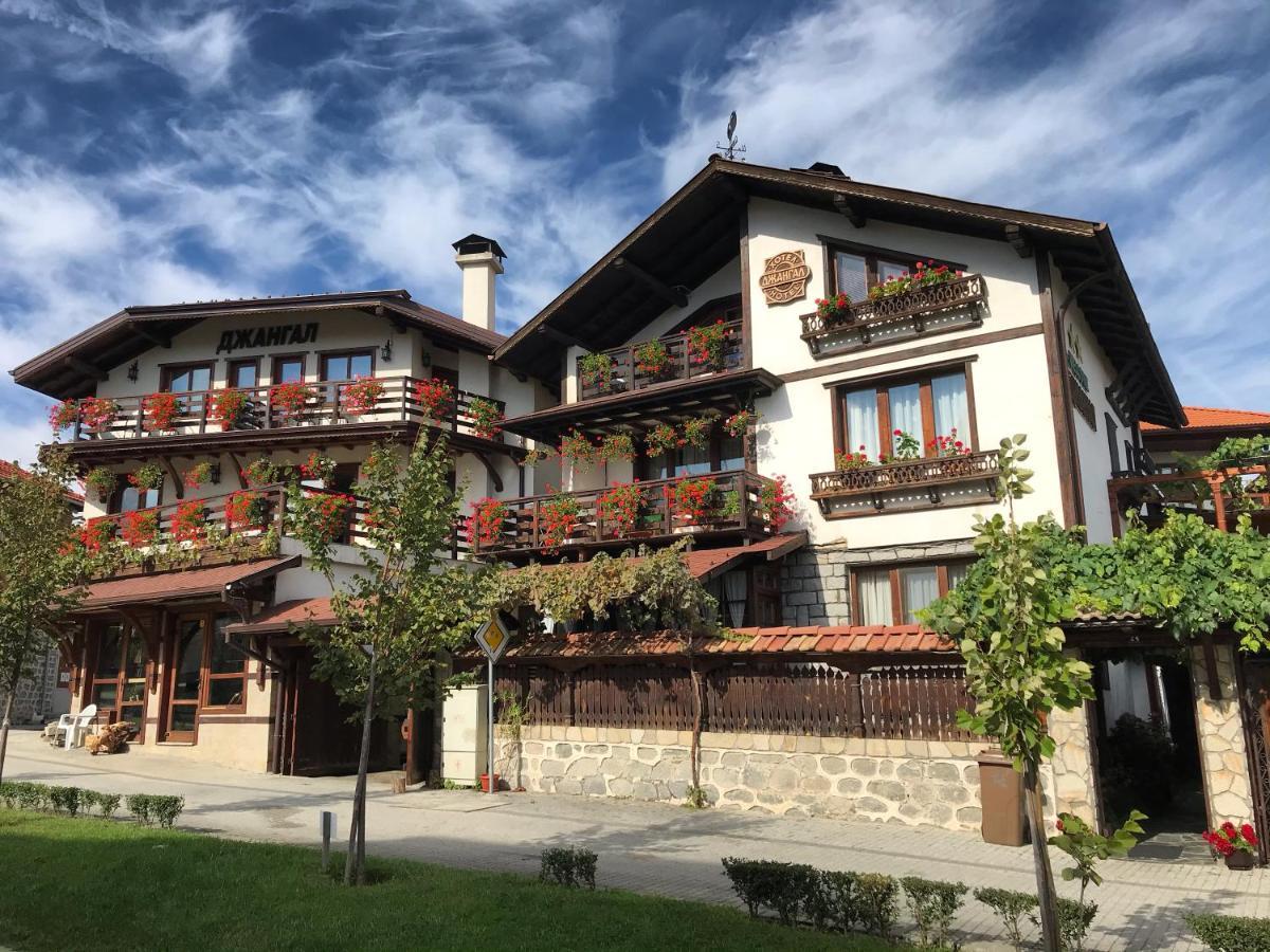 Guest House Dzhangal バンスコ エクステリア 写真